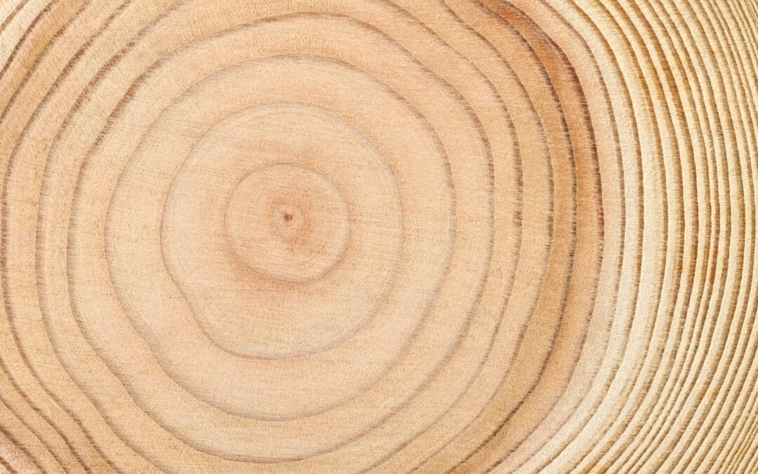 Tree Rings