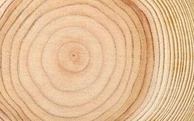 Tree Rings